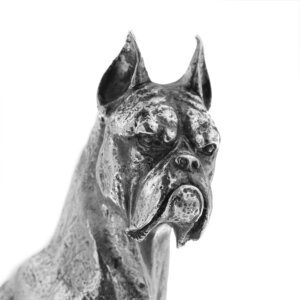 dettaglio faccia di statuetta cane boxer in argento